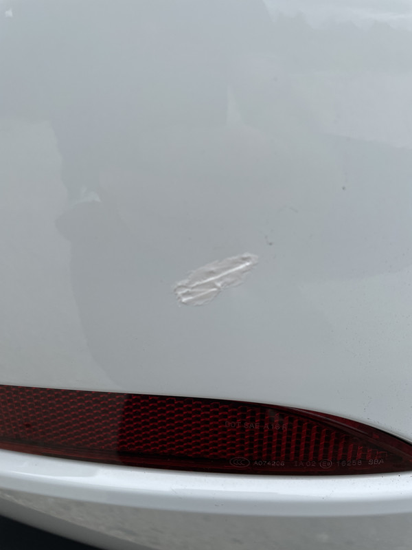 C1158DB1-0E20-4589-A2CB-0CB2D63E2A54