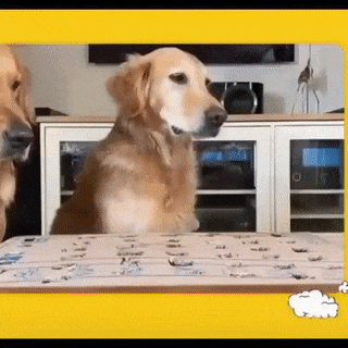 https://i.postimg.cc/8PkXMvPQ/3.gif