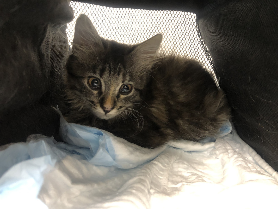 DEFF934B-5D1E-4D32-BB4C-DBAF2DBC2855