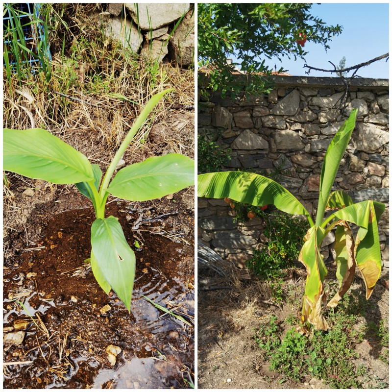 Collage_20230923_174840