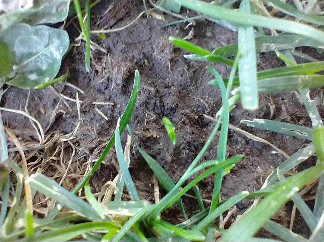 IMG_20211001_171143259