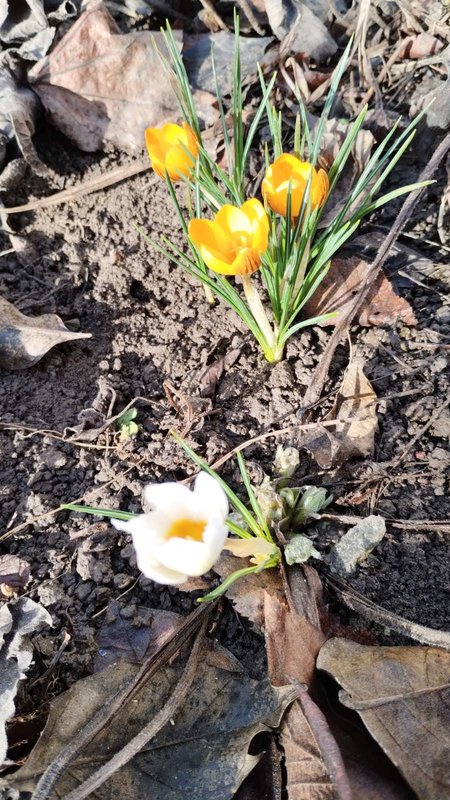 изображение_viber_2025-02-02_14-37-38-814