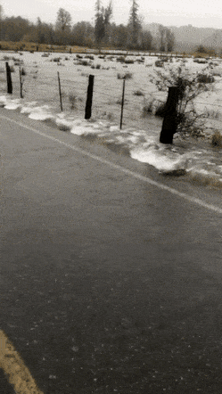 GIFs-29