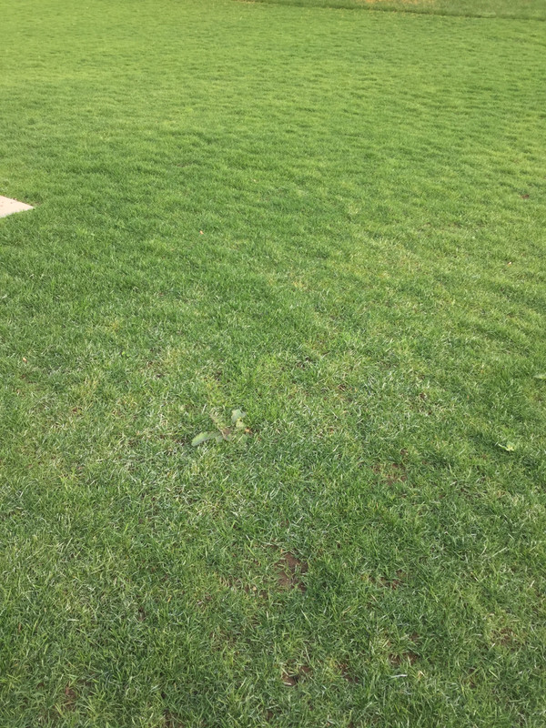 F0559620-E69E-41F3-99E5-737BAA5C52C3