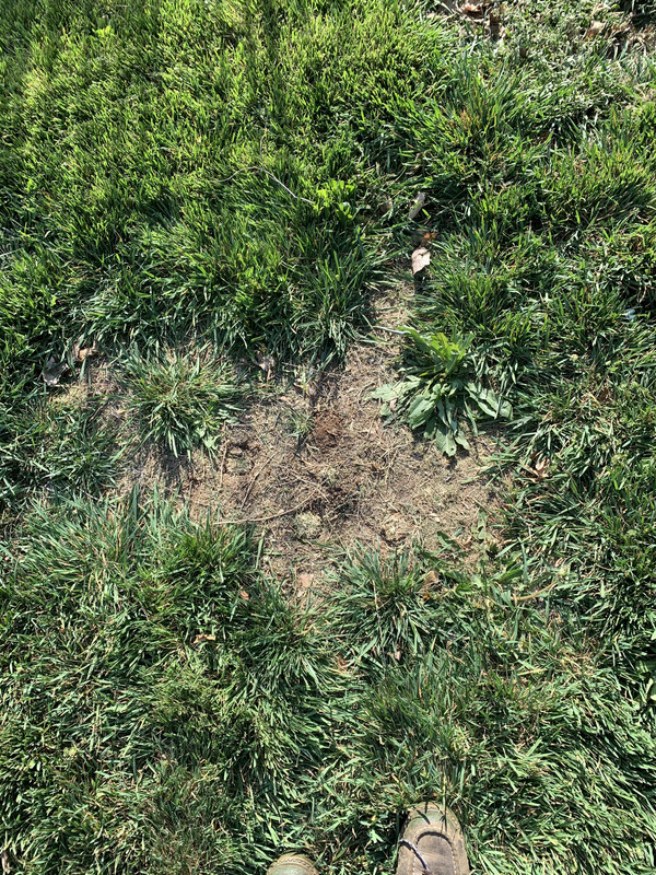 3F5FD883-487D-4009-848A-6AAA21108FE6