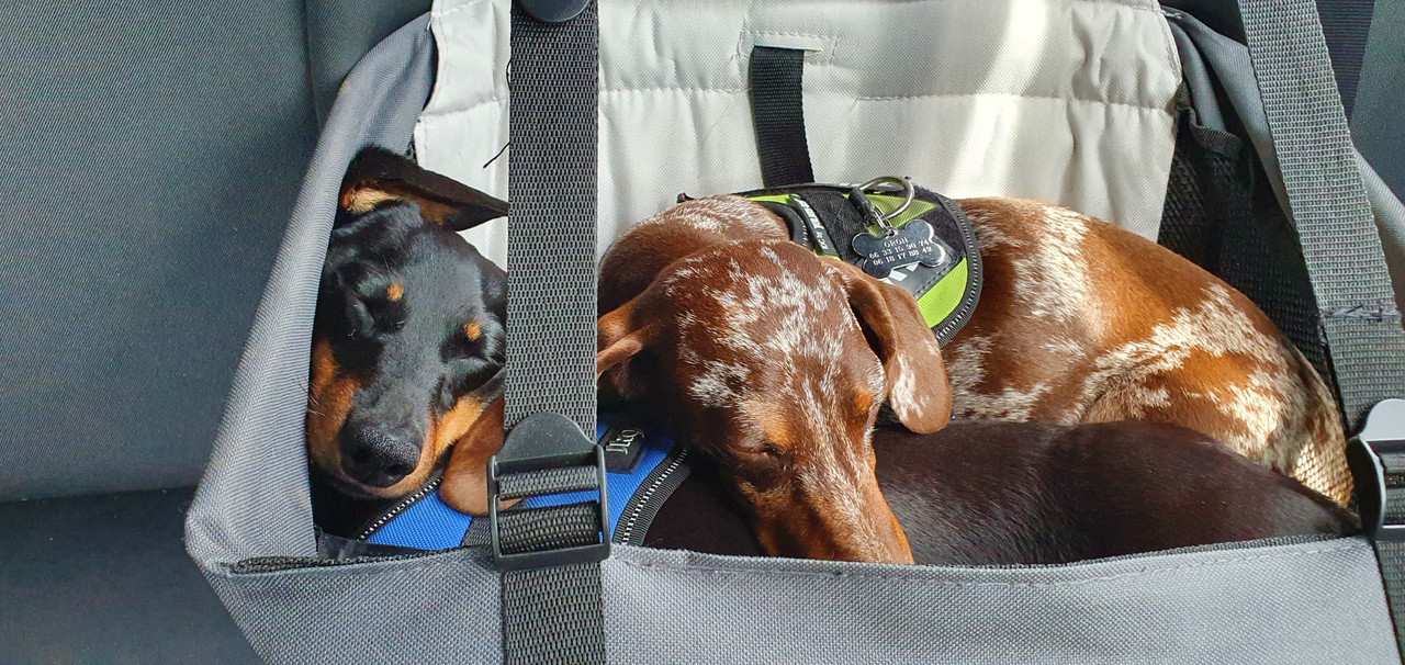 [Image: 20220724-150951.jpg]