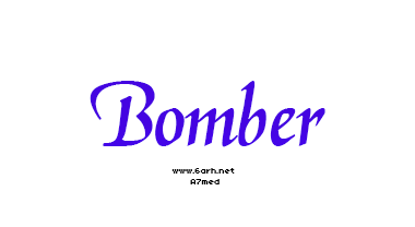 [Image: bomber3.gif]