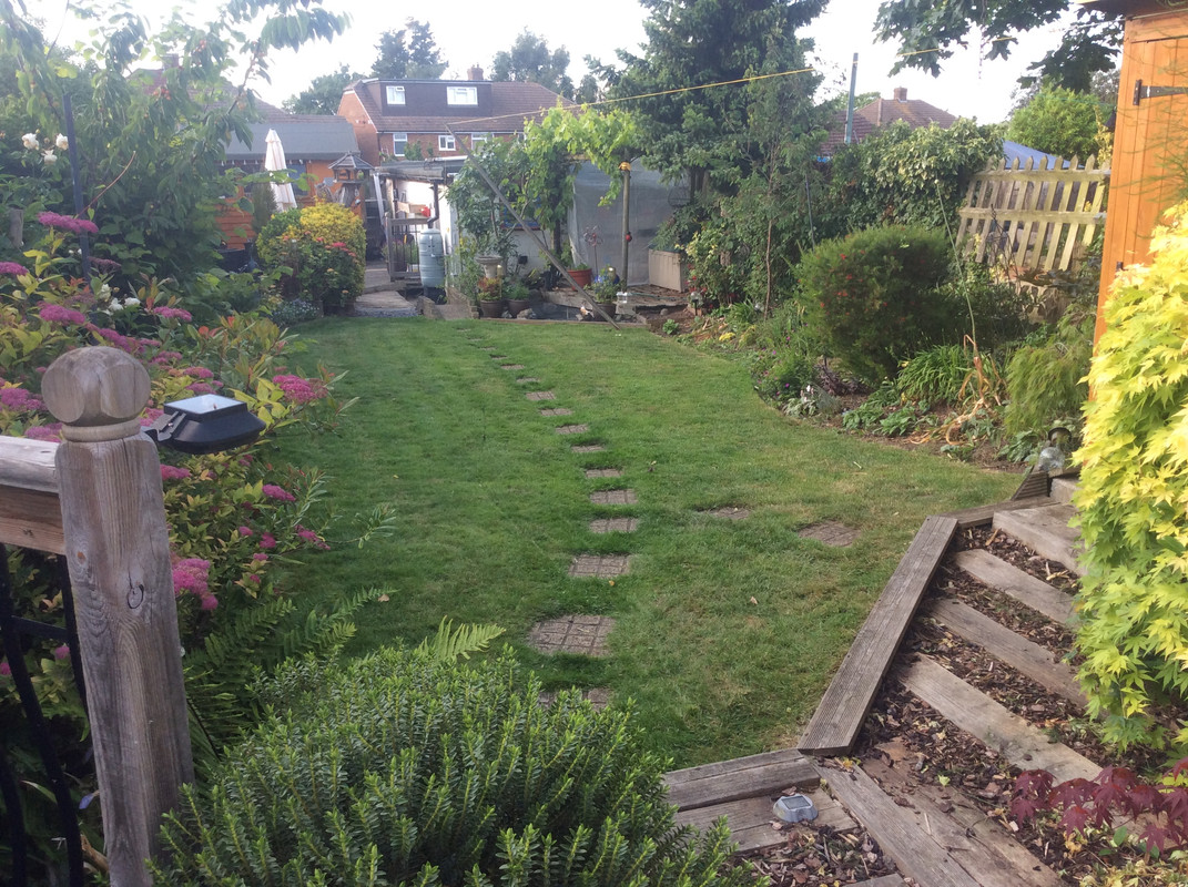 4DAEDBB1-B90F-4E03-8AF1-565AD2935760