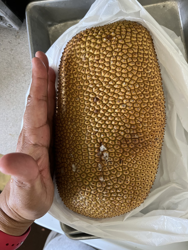 0BC61434-7DB6-4DDB-A6A0-D7A3BE7669B7