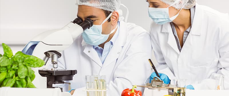 TECNOLOGIA EM ALIMENTOS