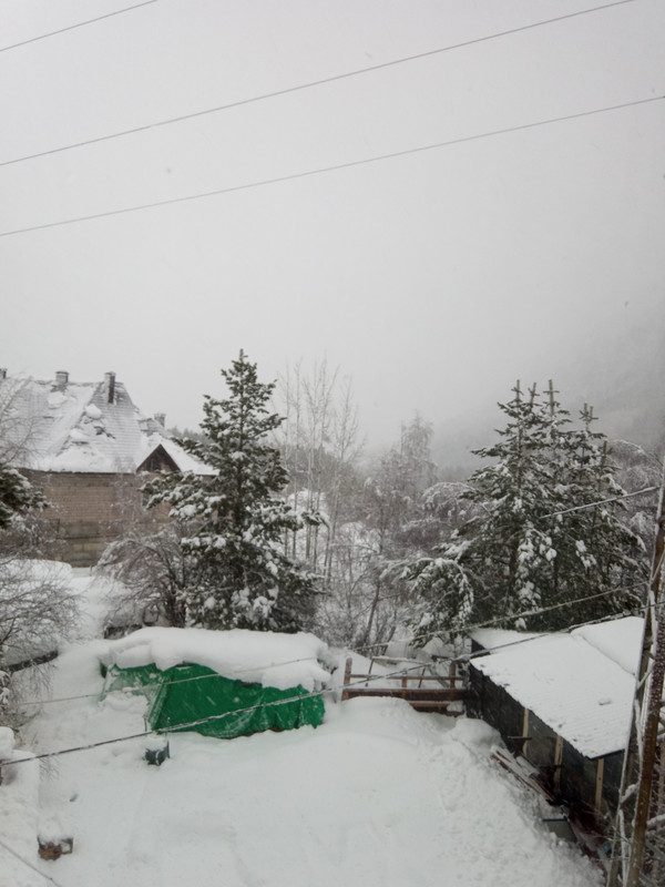 IMG-20230306-074458-2.jpg