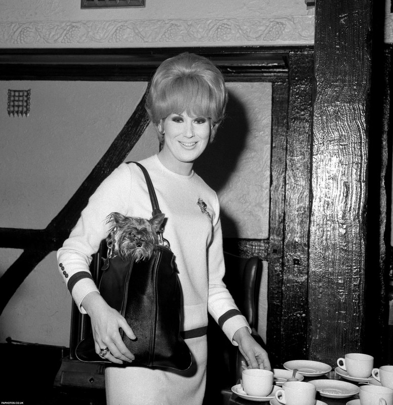 dusty_springfield_a79