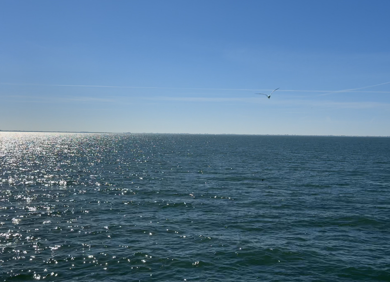 [Image: Skyway-Bridge02a.png]