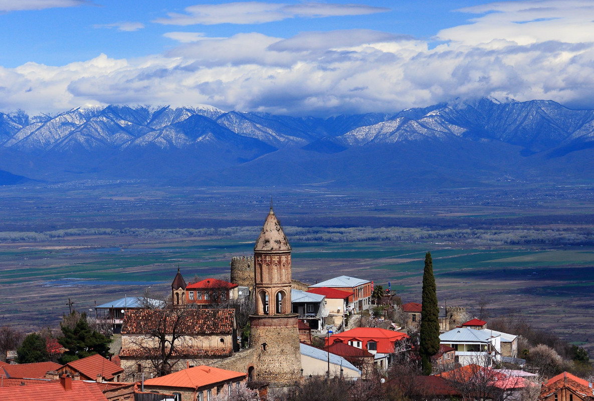 IMG_0194 (2088 x 1410)