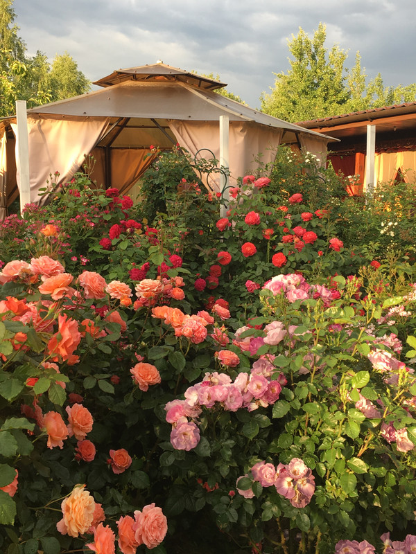 5AC4EF82-FFCC-4B3C-B5A9-20940130B024