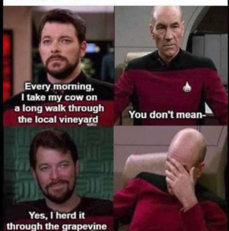 Screenshot 2026 07 15 at 05 32 11 Post a MEME Thread Page 5867 Yellow Bullet Forums
