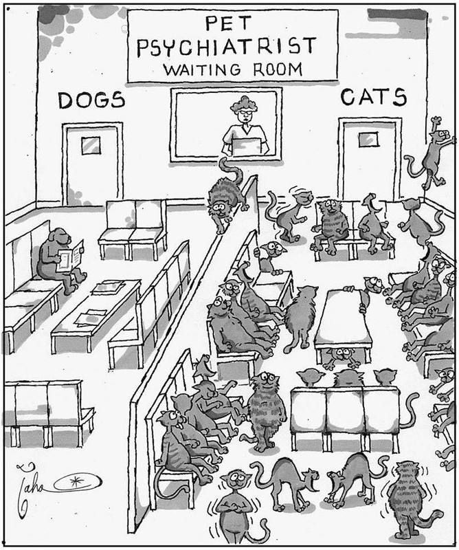 petpsychiatrist