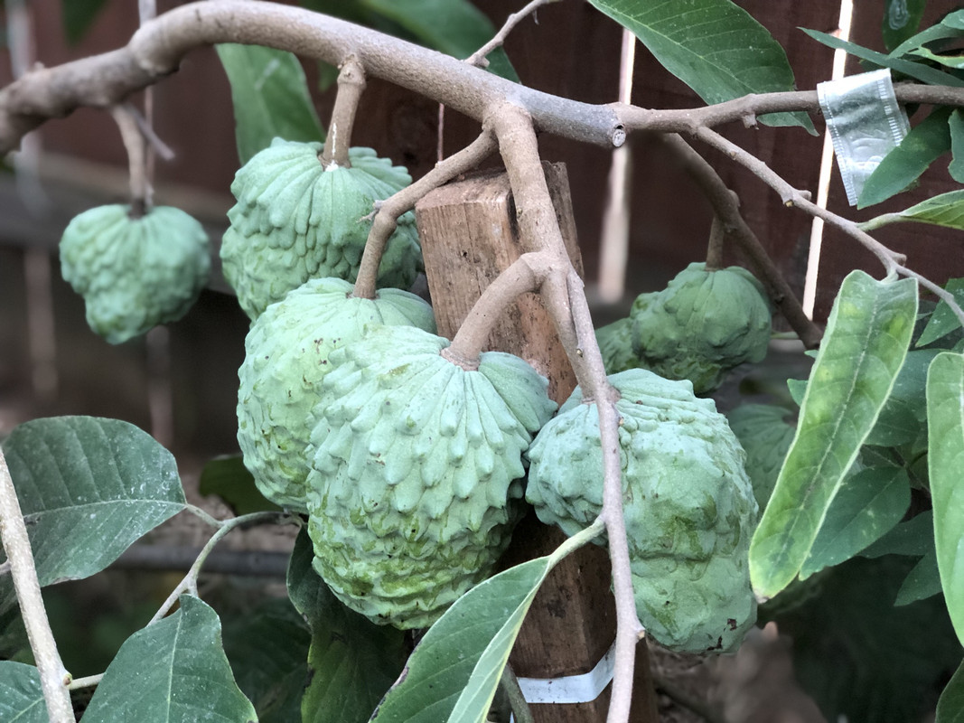 912EA393-2896-4AFB-855A-625CAE88D985