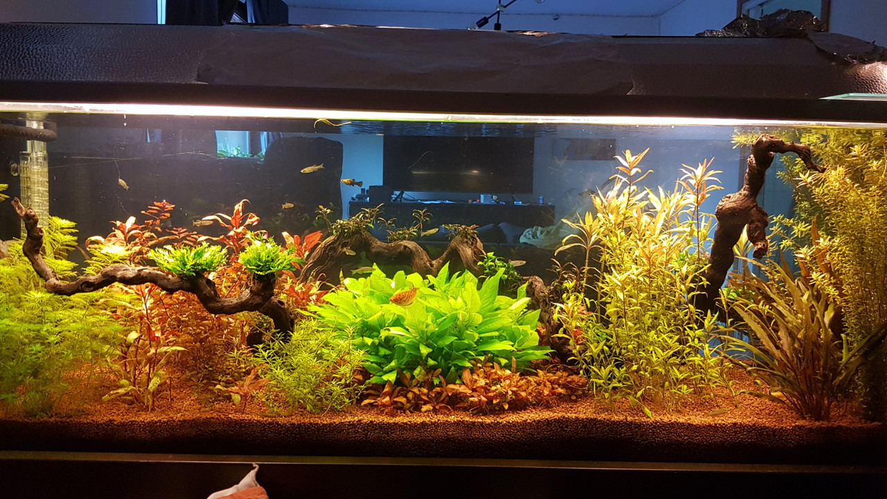 20220807_181050.jpg.143ce9720a670648277ff9660faeb491