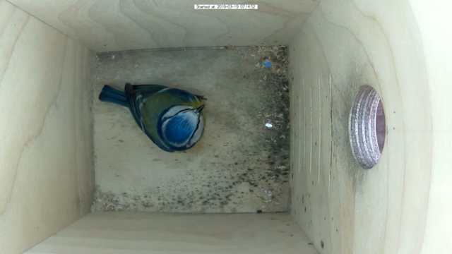 Untitled Project (Time 0_00_01;05)