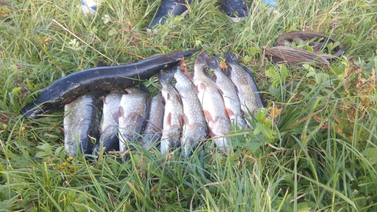 image-0-02-01-cd894601b0bcd68b63eb26c13aa8e73daa