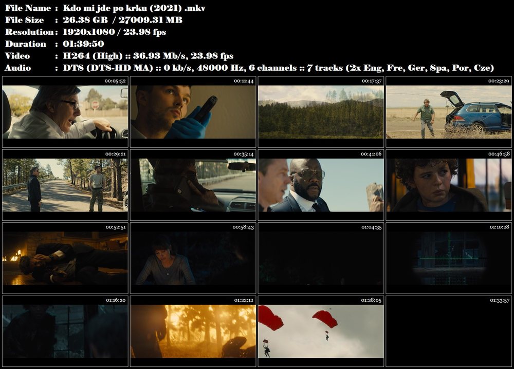 Kdo mi jde po krku / Those Who Wish Me Dead (2021)