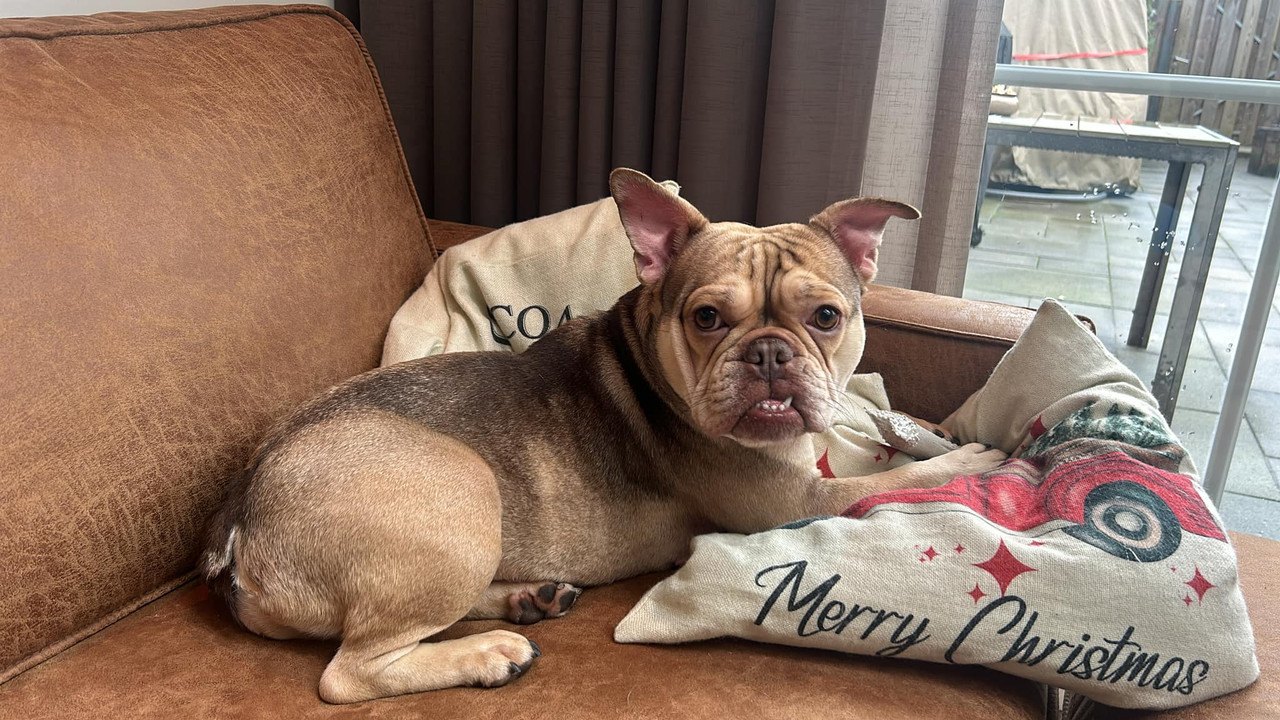 416726452_10223178012135641_1002702149134915057_n