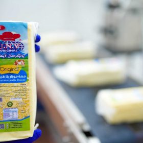 Block Mozzarella Egypt