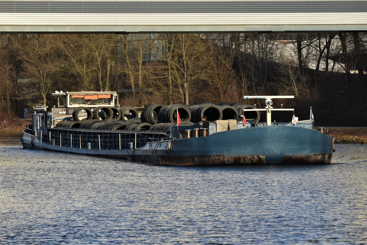 2022.02.26c RHK VIVARIUM 03 (1940x1293)