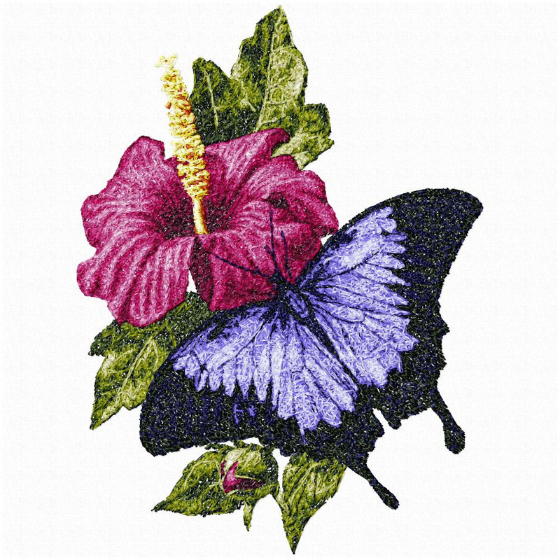 бабочка с компенсацией для вида 2