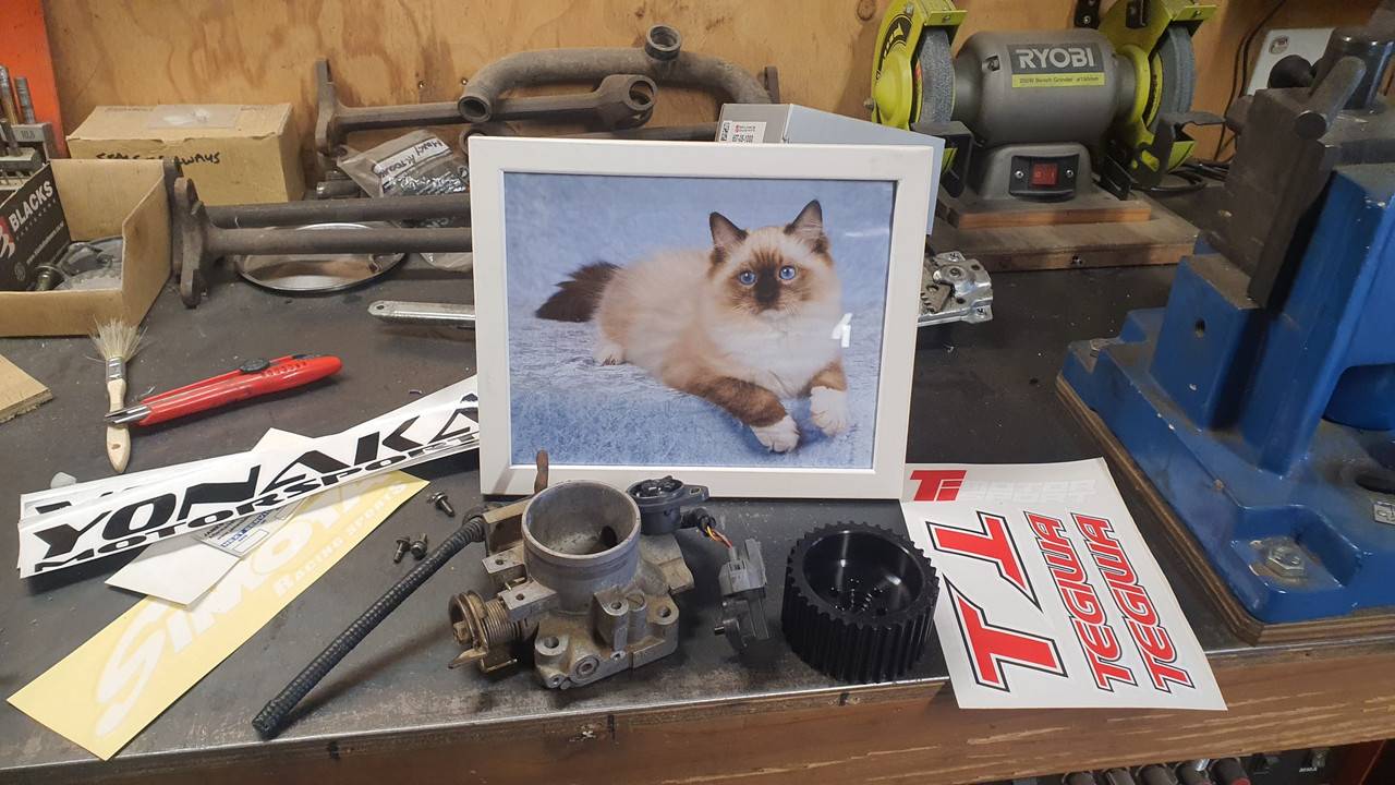 20220718_143929 (Custom)