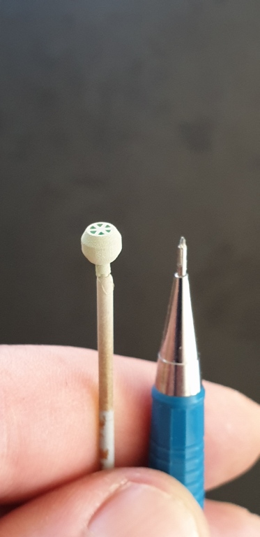 20190529_1036025.jpg
