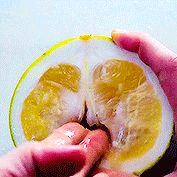 tumblr-p8hr9vzete1sdkovlo5-250.gif