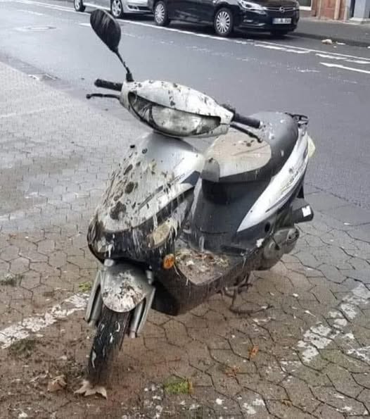 546531567-24316728574665230-300185778828