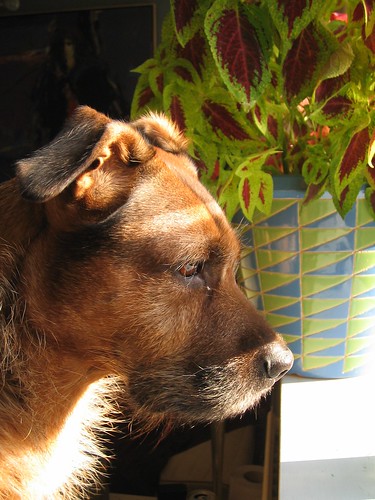 3210451473 8594b28fe6