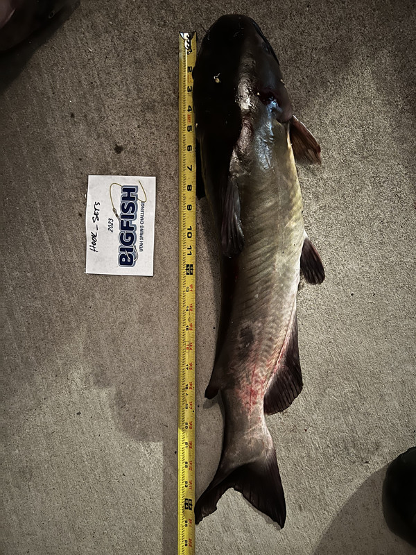 9C864685-98A2-420A-88D7-98110952D44E