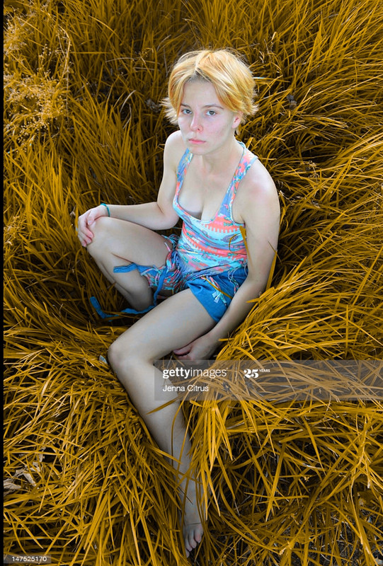 gold-grass-1-7-4.jpg