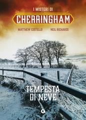Matthew Costello, Neil Richards – Tempesta di neve (2026)