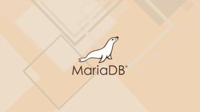 Learn MariaDB: A Beginner to Advanced Guide