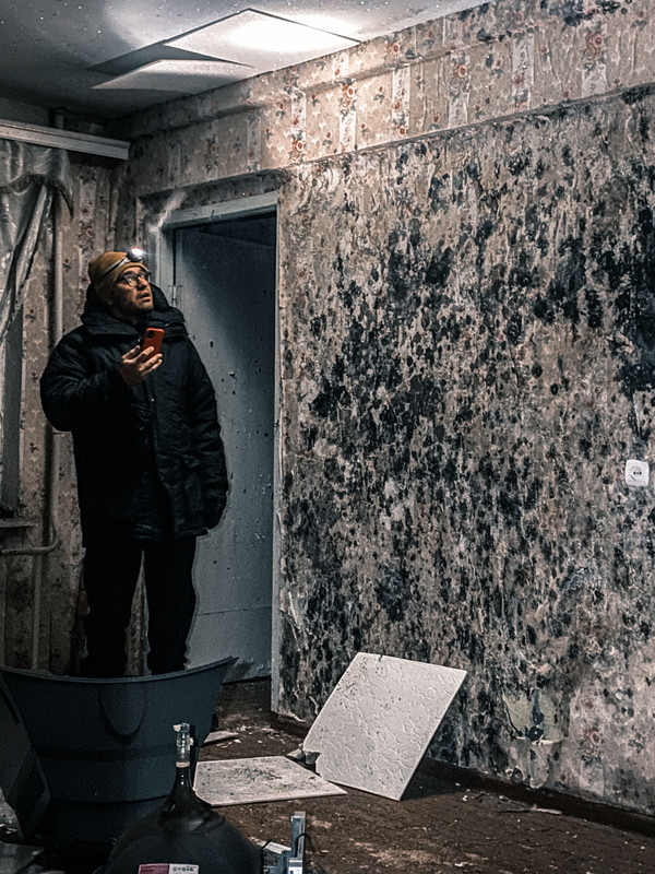 Black mold growth found in a Green Bay Wisconsin home