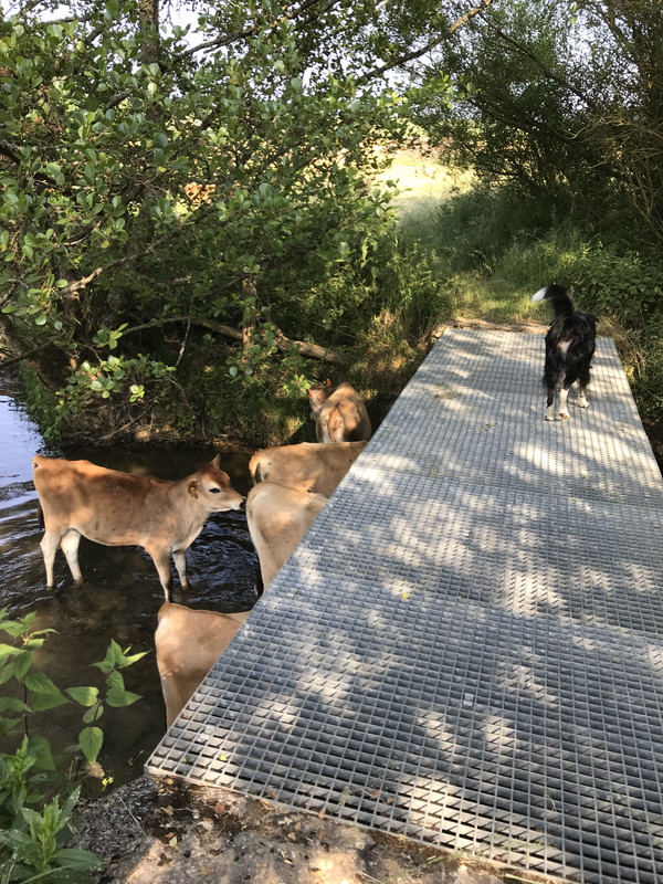 D5C60CD8-4691-4E9A-932E-B8B98B40B42A