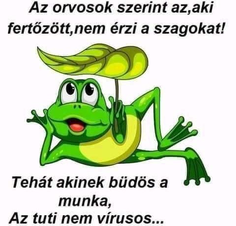https://i.postimg.cc/8PscqVWg/az-orvosok-szerint.jpg