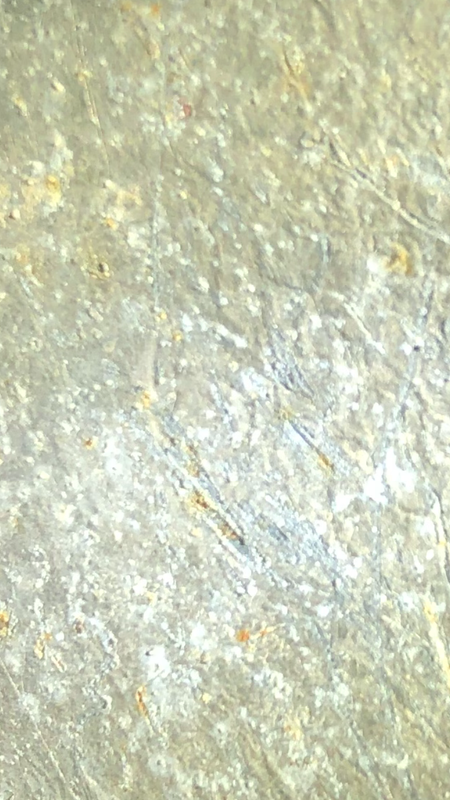 43362343-1A3E-455C-A2A9-2160D48E13E5