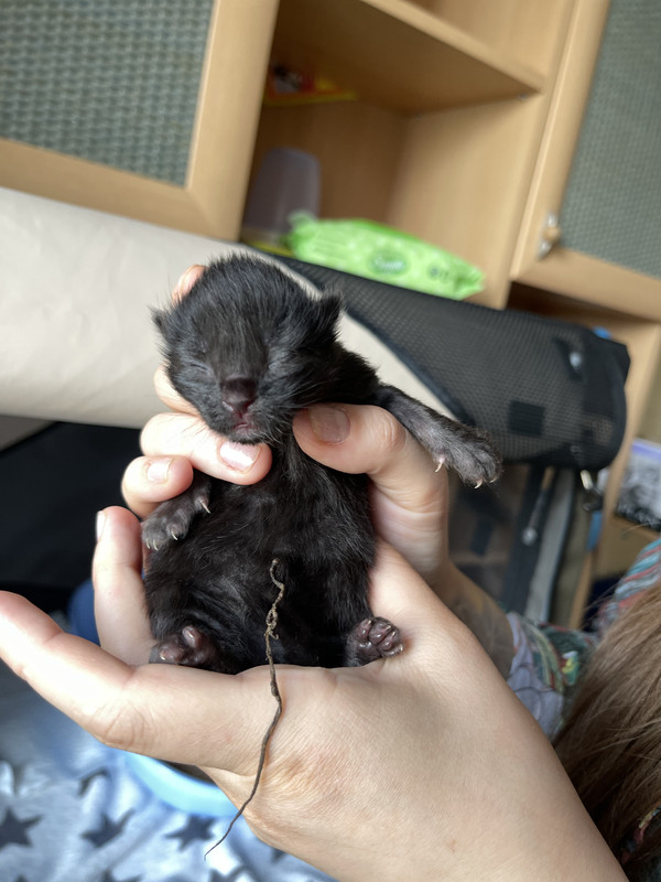 3B2AE0E6-495C-4FA4-81B1-6EEDC6642768