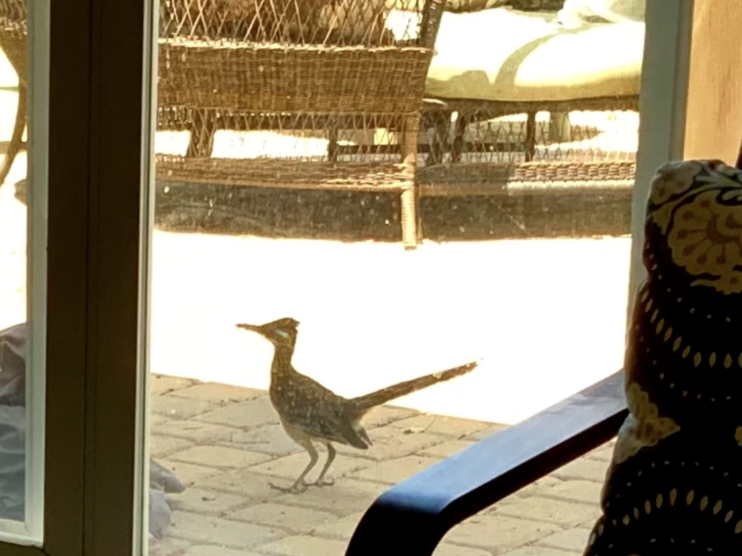 BD5F33E5-594F-4FDB-818D-FE96AA50B961