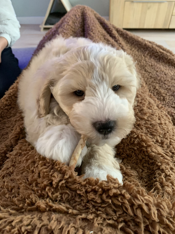 E39B71BD-F01F-490B-9A40-E9E1A5CBC0C4