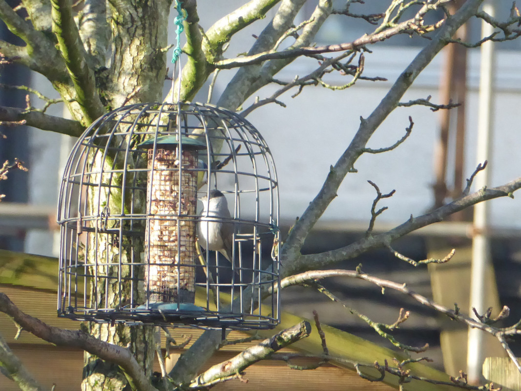 90812BDE-A98D-4075-A36C-75BD91C72ECD