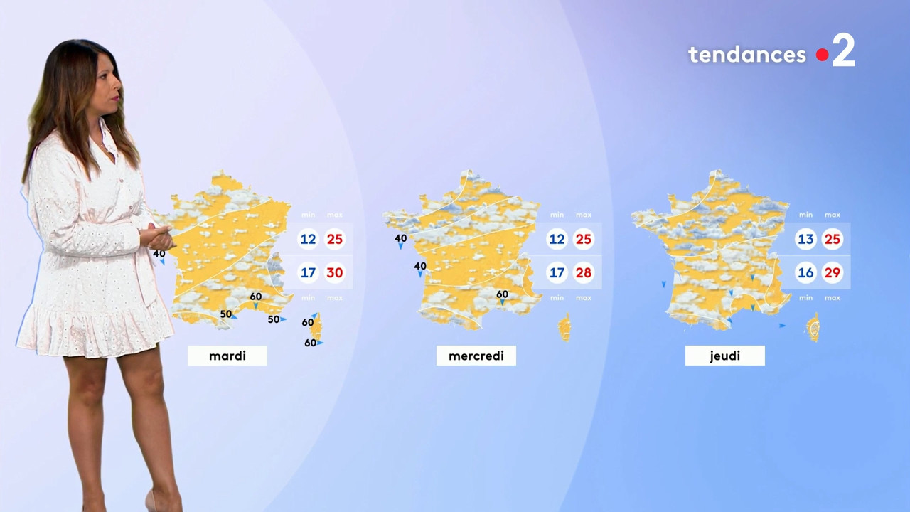 2022-07-03_20_50_Fr2_Meteo.mp4_snapshot_09.55.775