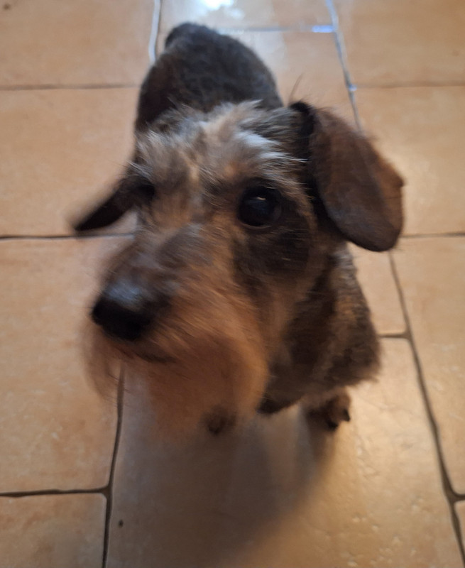 [Image: 20241126-102748.jpg]