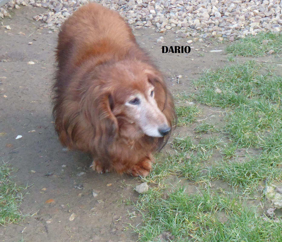 [Image: P1010977.jpg]